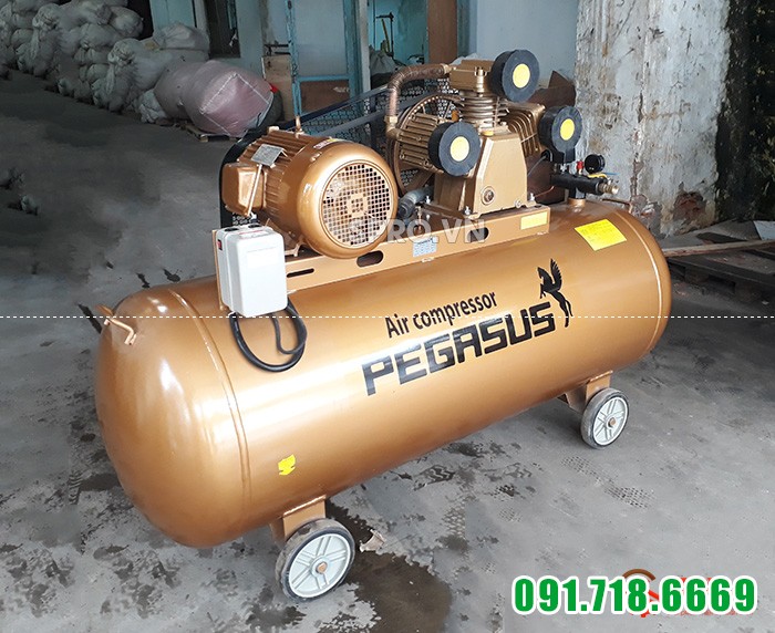 Máy nén khí 10HP Pegasus TM-W-0.9/8-500 dung tích 500L giá rẻ