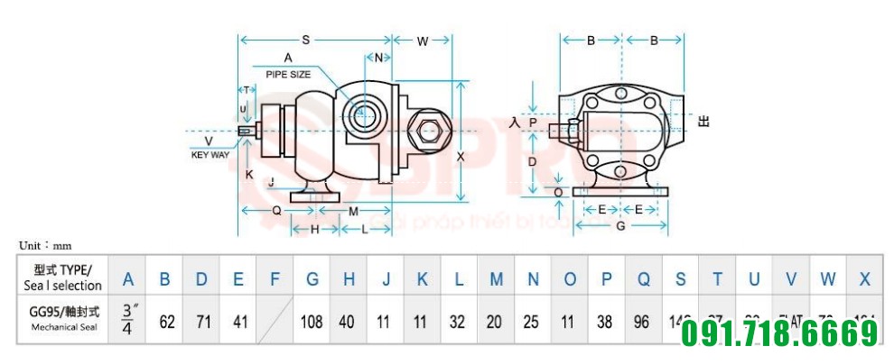 Kích thước chi tiết của máy bơm bánh răng GG95