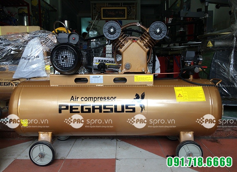 Máy bơm hơi, Máy nén khí 2HP PEGASUS TM-V-0.17/8-120L - Dung tích 120L