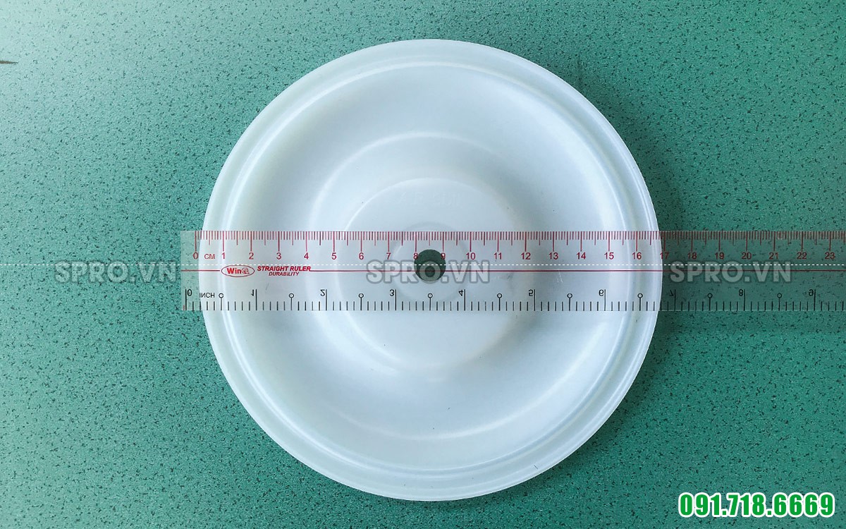 Màng bơm Husky nhựa teflon 1 inch