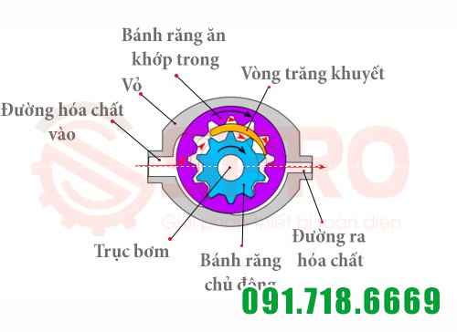 Cấu tạo bên trong của máy bơm bánh răng HL4124