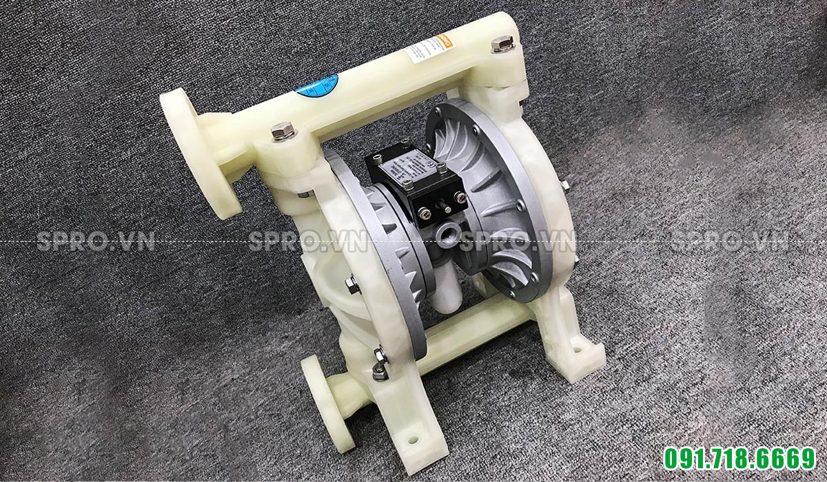  Bơm màng Đài Loan DS10