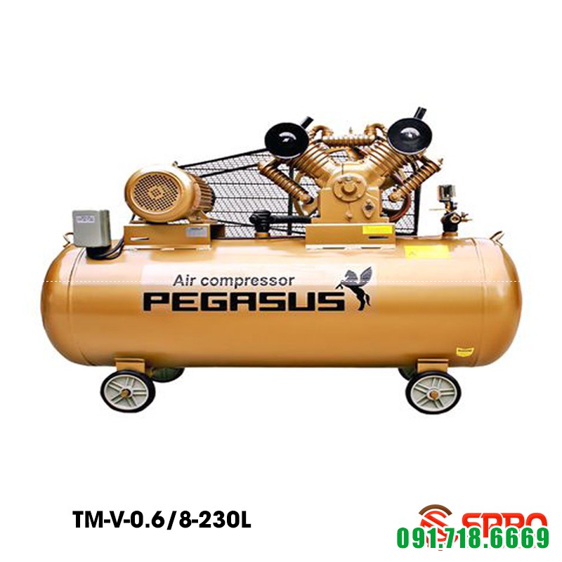 Máy bơm hơi, Máy nén khí 5.5HP bình chứa 230L Pegasus TM-V-0.6/8-230L