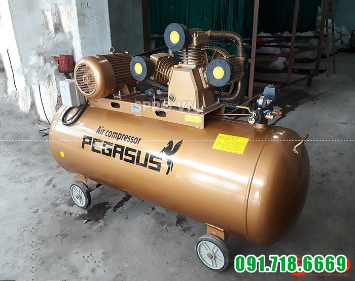Máy nén khí 10HP giá rẻ Pegasus TM-W-0.9/8-500 dung tích 500L