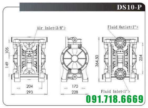 Bản vẽ kỹ thuật bơm màng ds10