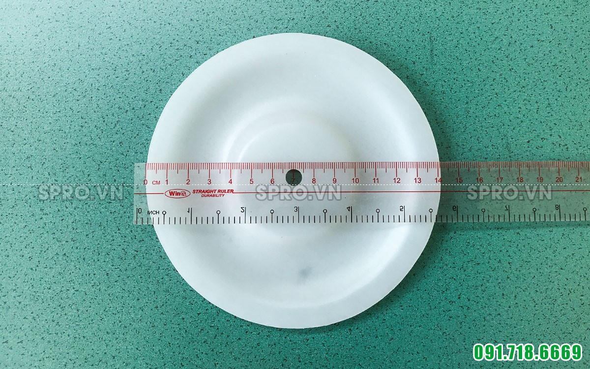 Màng bơm TDS nhựa teflon 1/2 inch