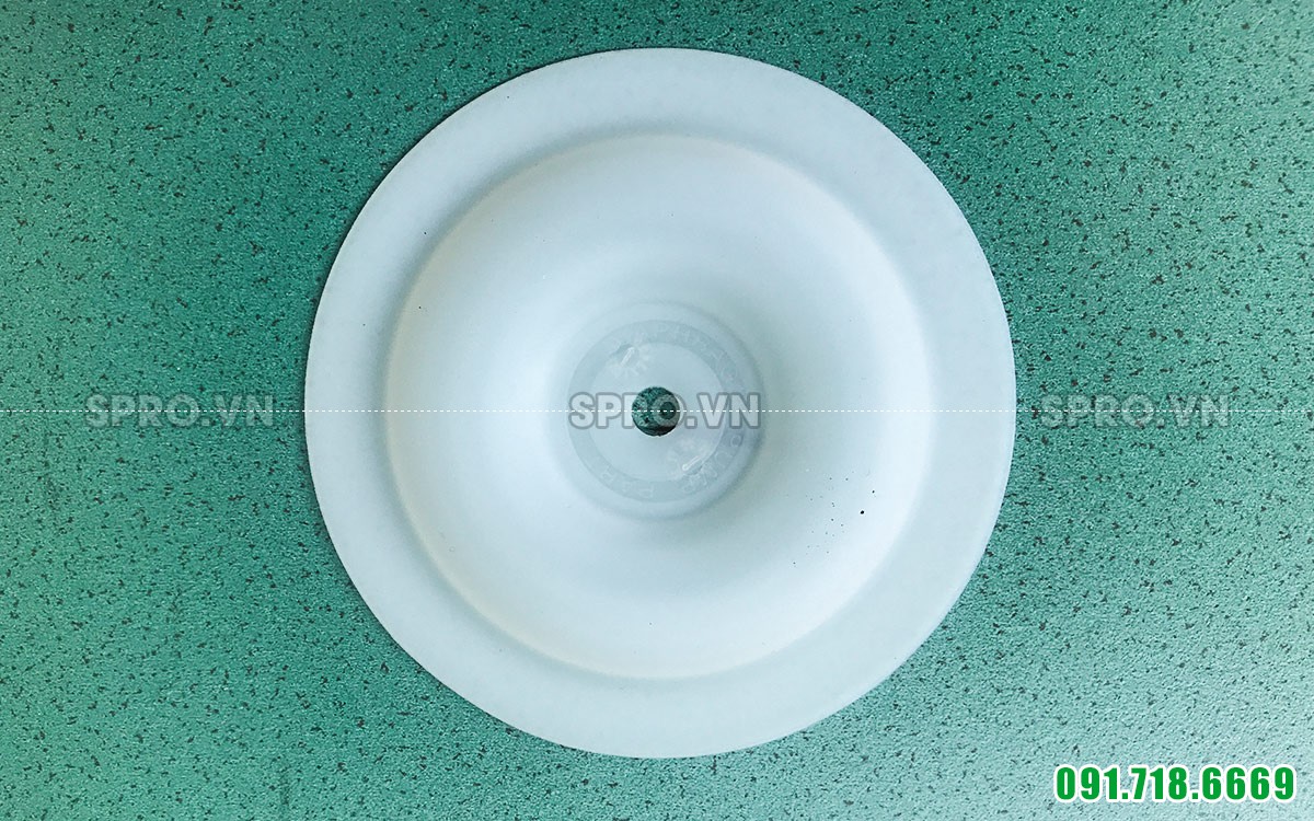 Màng bơm TDS nhựa teflon 3/8 inch