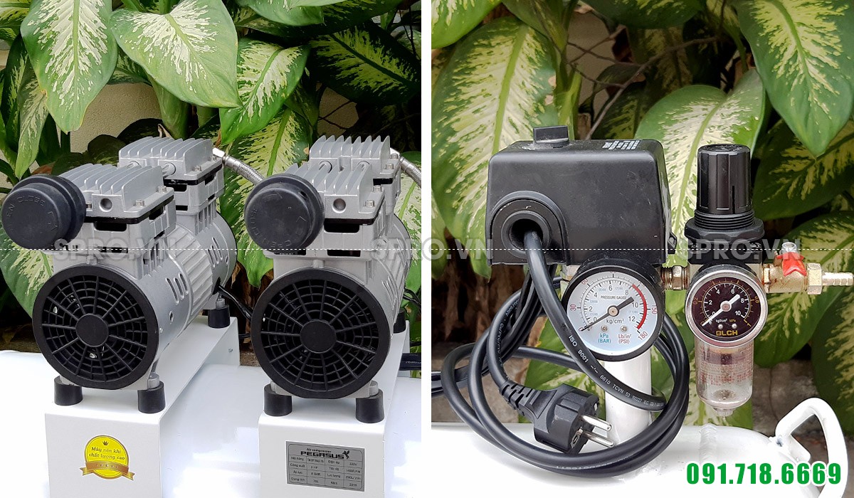 Máy nén khí không dầu 2HP Pegasus TM-OF750x2-70 - Dung tích 70L