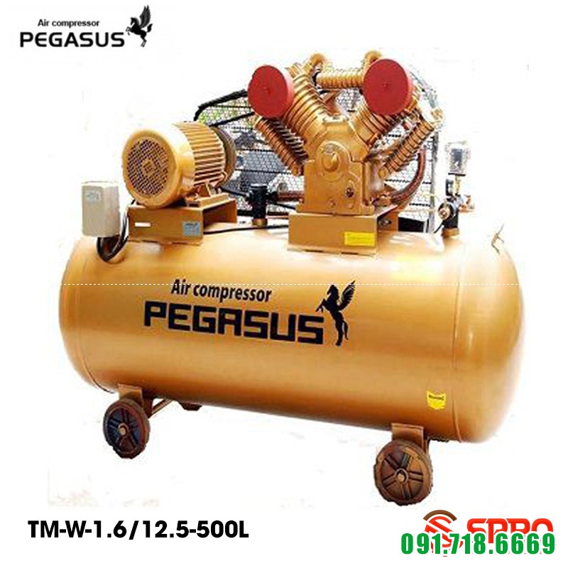 Máy bơm hơi 15HP Pegasus TM-W-1.6/12.5-500 dung tích 500L
