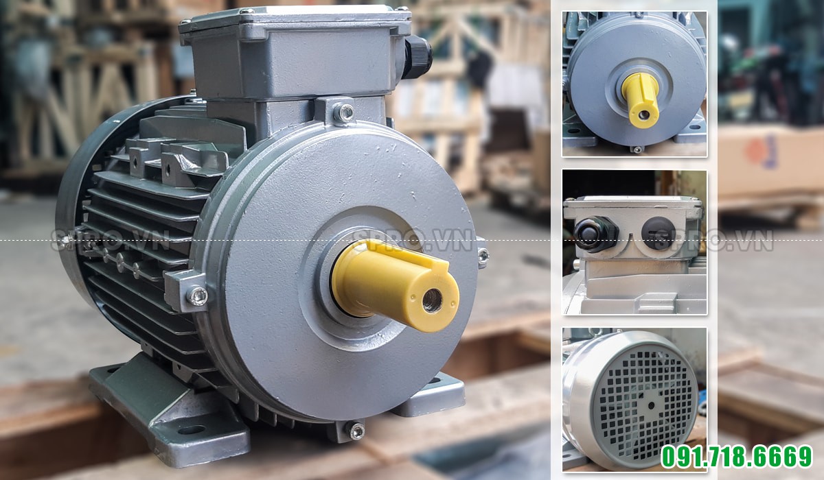 Thiết kế động cơ mô tơ điện Enertech ESA100L2-4 3 pha công suất 4hp