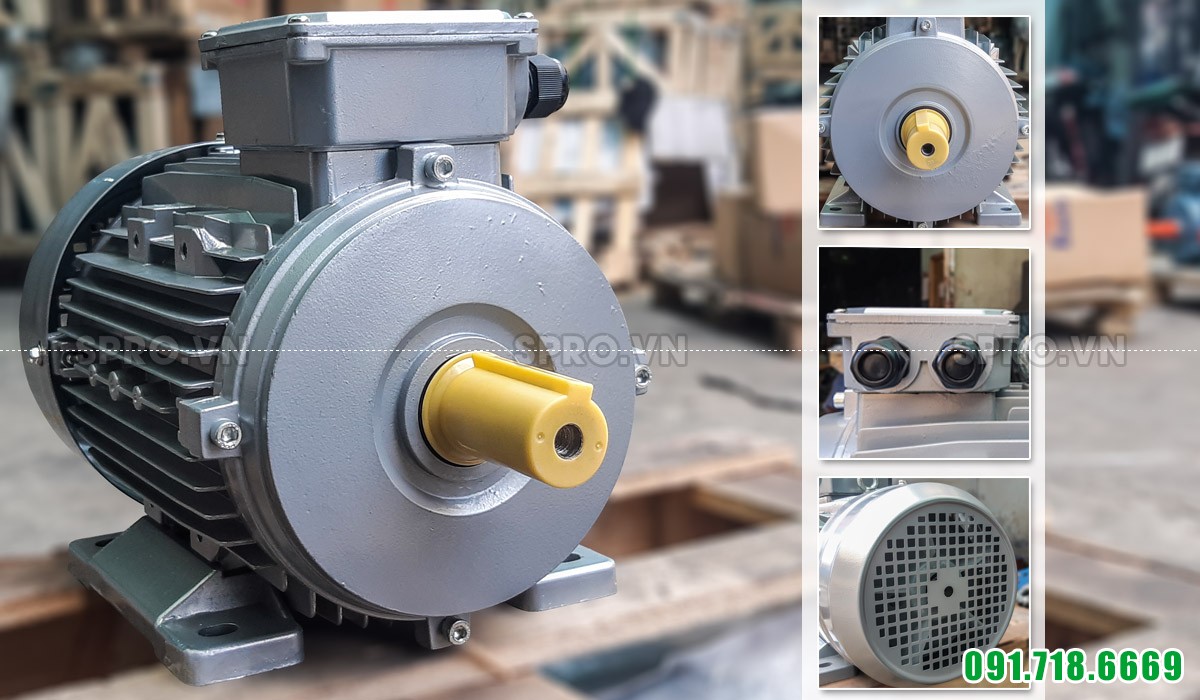 Thiết kế động cơ mô tơ điện Enertech ESA132S-4 3 pha công suất 7.5hp
