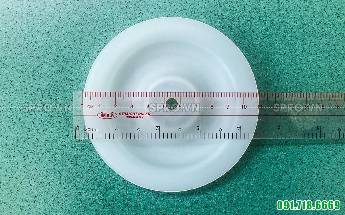 Màng bơm TDS nhựa teflon 3/8 inch