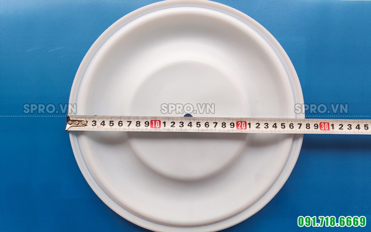 Màng bơm Godo QBY3 80.100 chất liệu PTFE