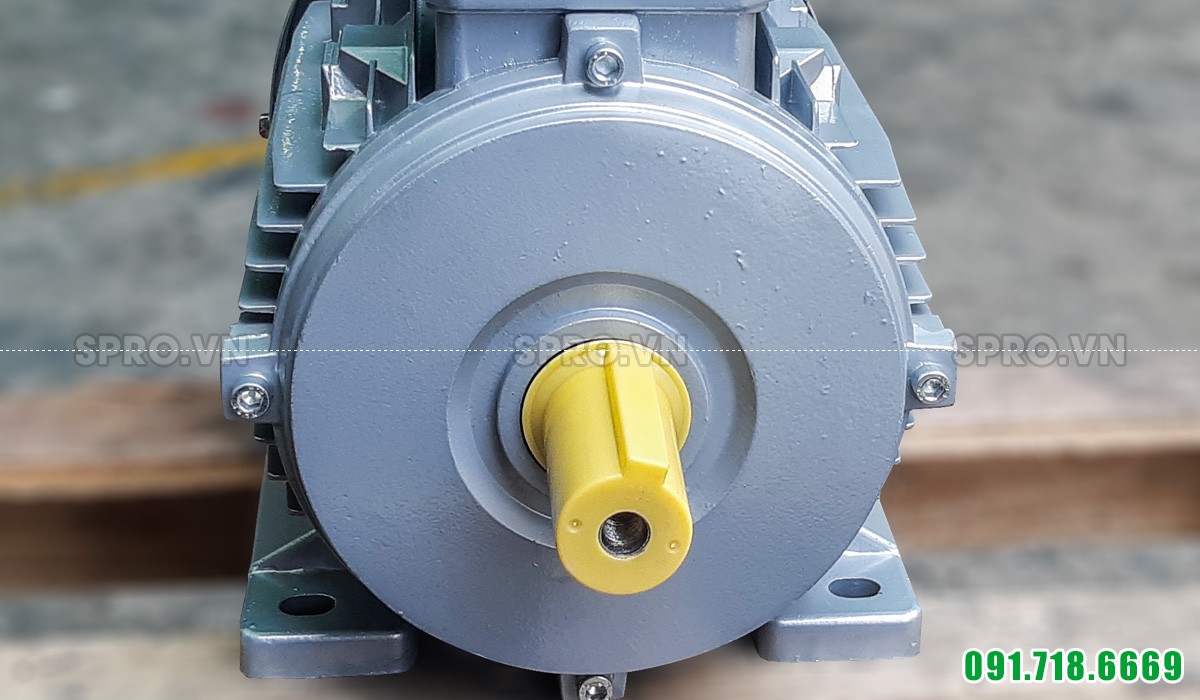 Đầu cốt động cơ mô tơ điện Enertech ESA100L2-4 3 pha công suất 4hp
