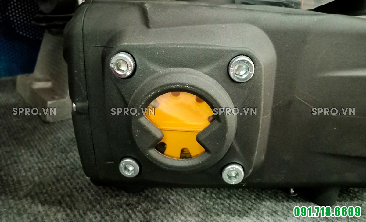 Mặt thăm nhớt đầu bơm cao áp RG 21.20