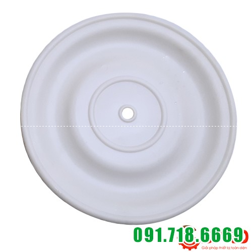 Màng bơm backup DS14 Màng bơm backup DS14