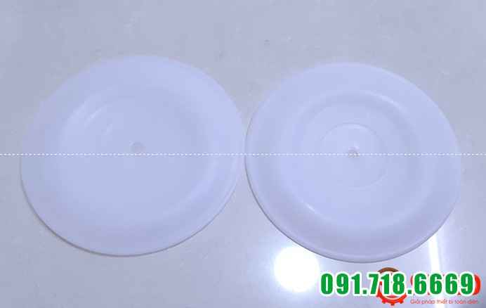 Màng bơm Teflon DS10 Màng bơm Teflon DS10