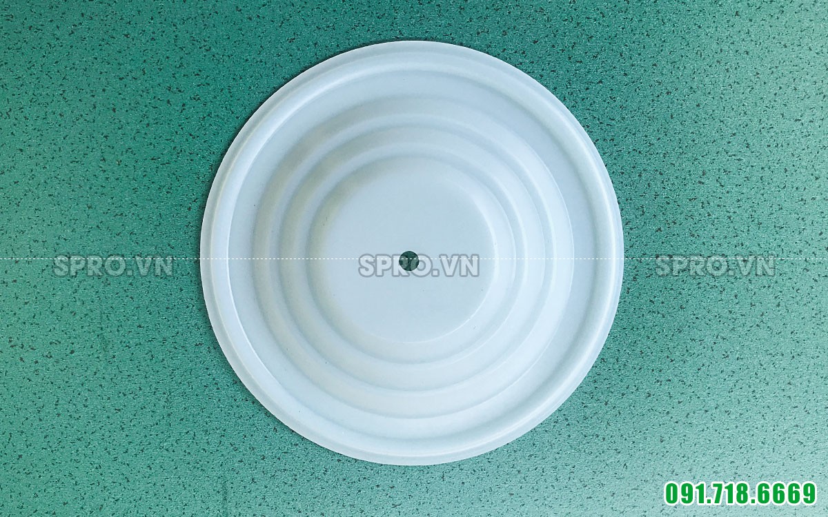 Màng bơm Wilden nhựa teflon 1 inch