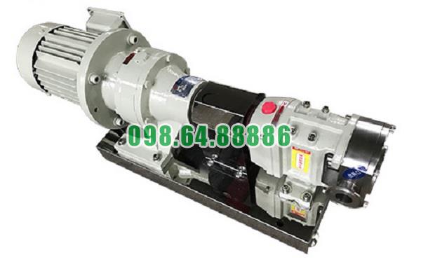 Máy bơm lobe 3RP-60 lưu lượng 18 m3/h áp suất 0,6 MPa kết nối DN65